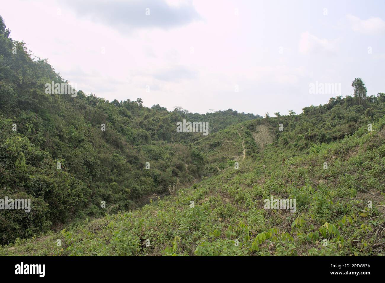 Dies ist eine Waldlandschaft, ein schöner Wanderort von Ukhiya cox's Basar Bangladesch. Stockfoto