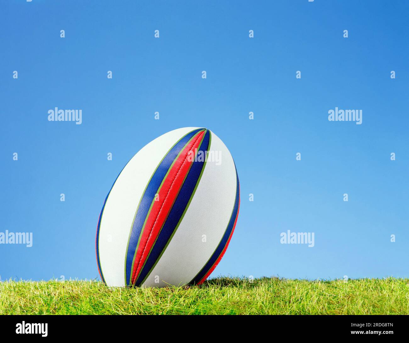 rugby-Ball auf grass01 03 03.tif Stockfoto