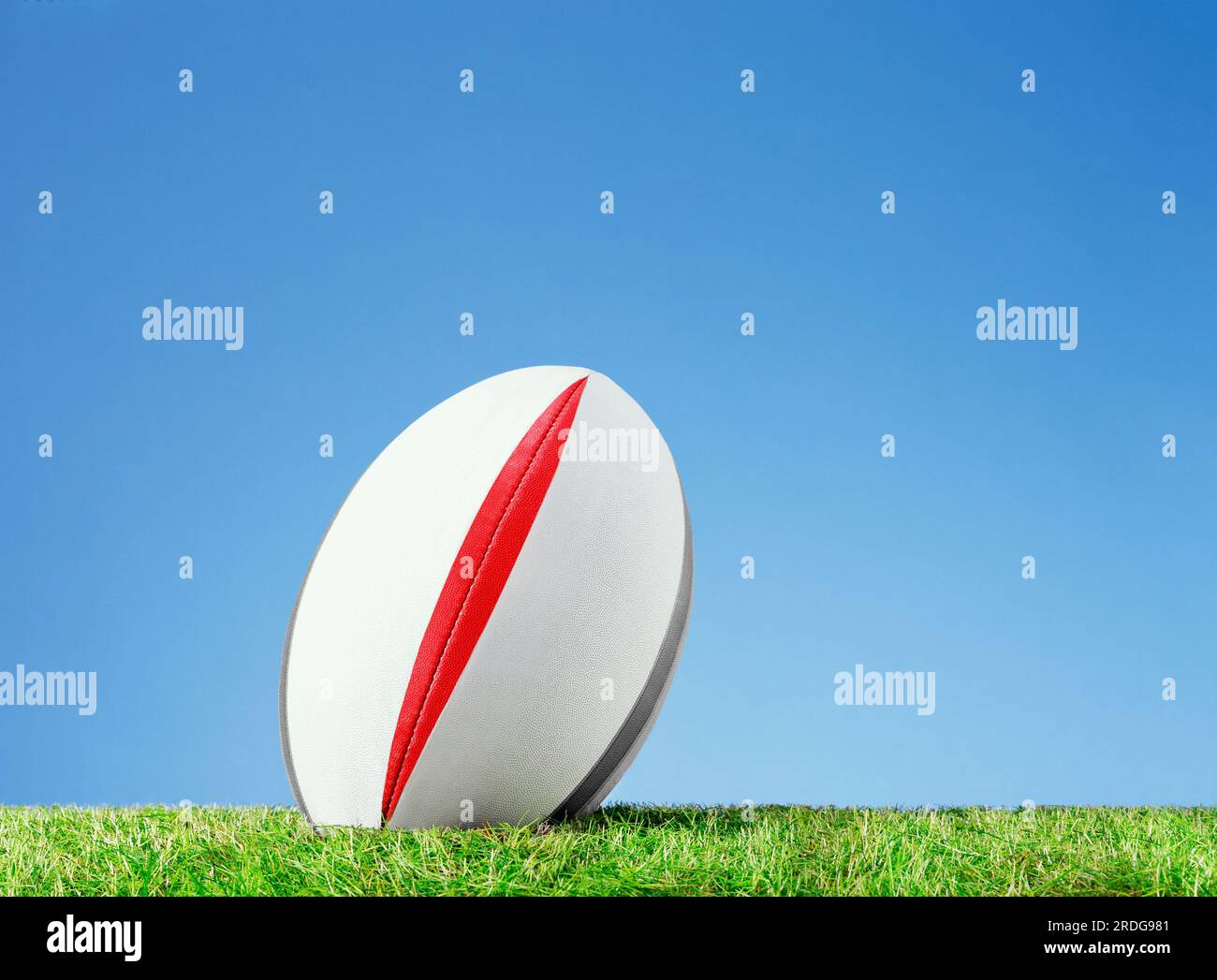 rugby-Ball auf grass01 03 03.tif Stockfoto
