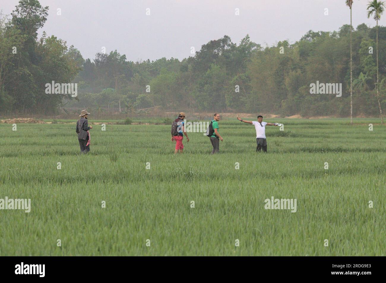 Die Menschen wandern durch die Wälder in Bangladesch Stockfoto