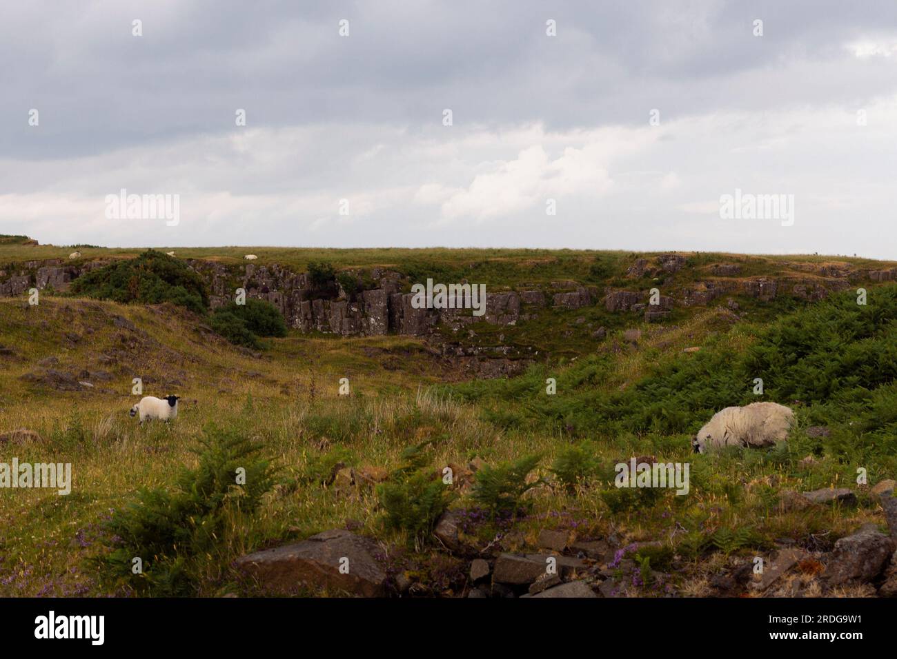 Tour durch die Isle of Skye, Schottland, Großbritannien Stockfoto