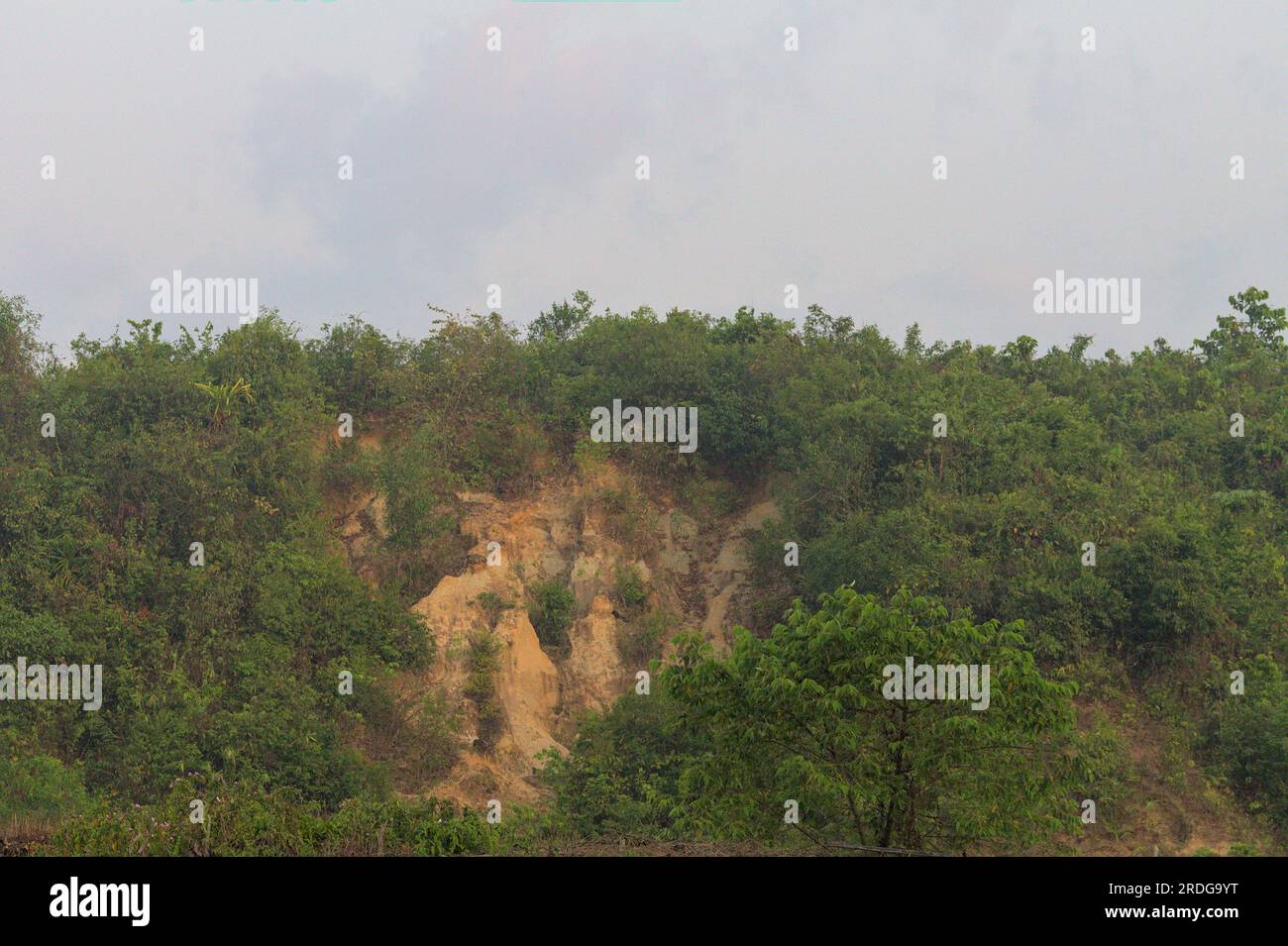 Dies ist eine Waldlandschaft, ein schöner Wanderort von Ukhiya cox's Basar Bangladesch. Stockfoto