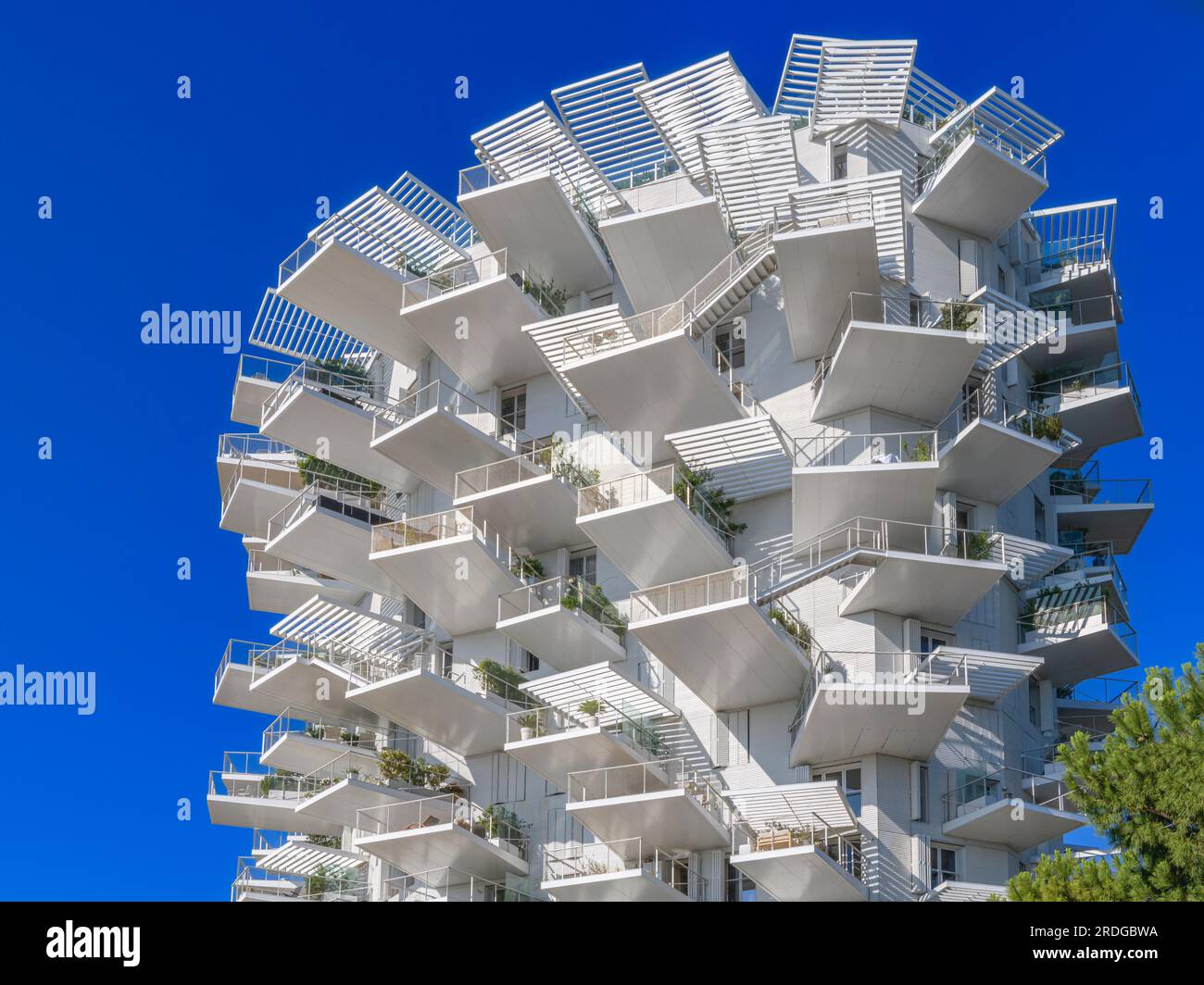 L'Arbre Blanc - Weißer Baum - in Montpellier. Das an einem Baum nachgebaute, geschwungene 17-stöckige Gebäude umfasst 113 Apartments mit freitragenden Balkonen. Stockfoto