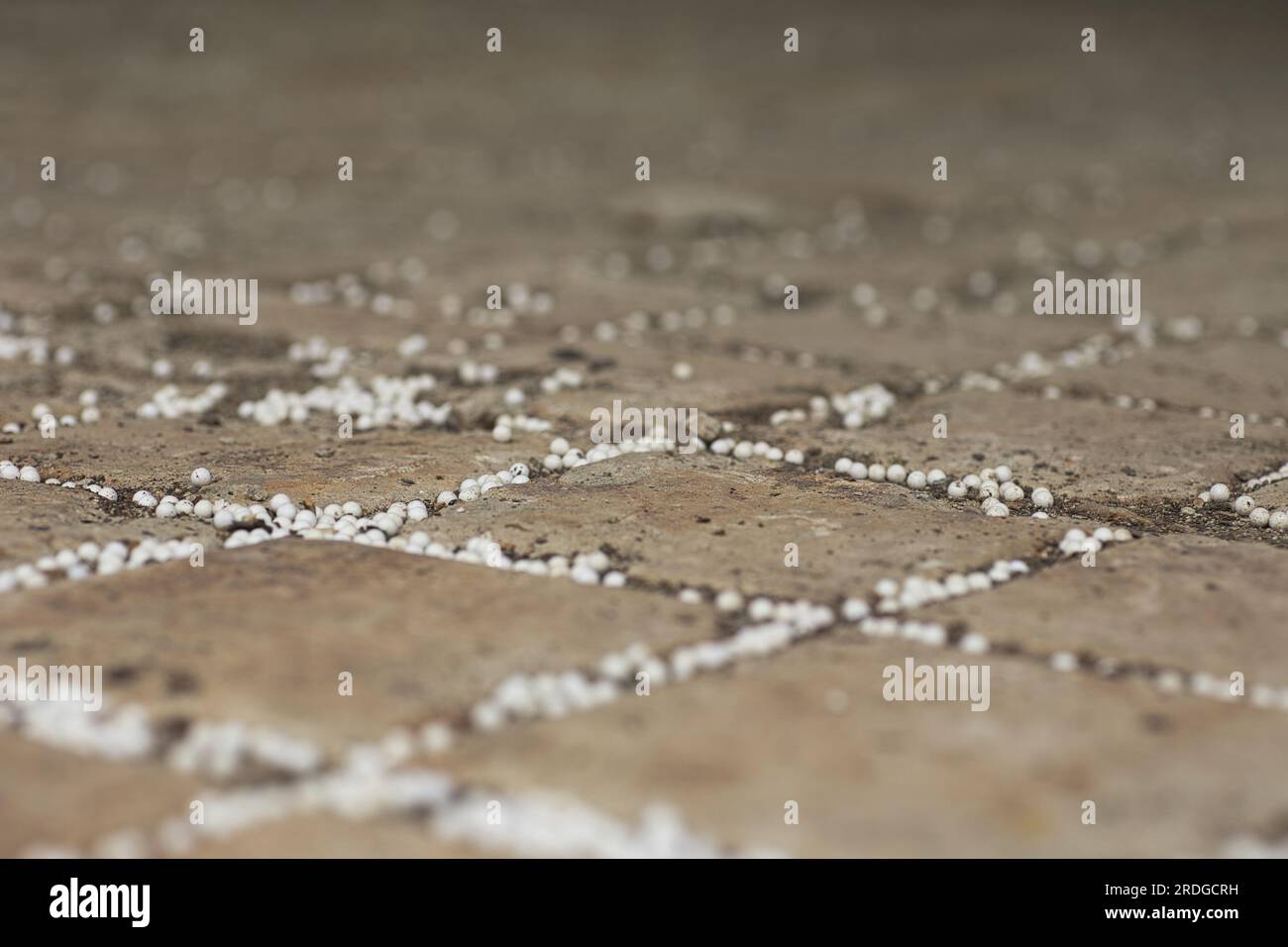 Viele weiße Luftballons aus Kunststoff sind auf dem Boden verstreut Stockfoto