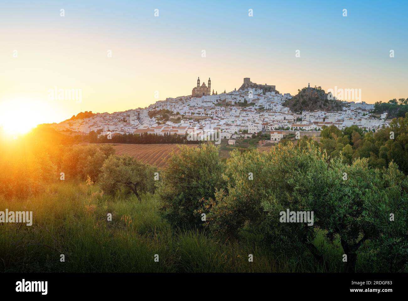 Olvera Skyline bei Sonnenuntergang mit Olivenbäumen - Olvera, Andalusien, Spanien Stockfoto