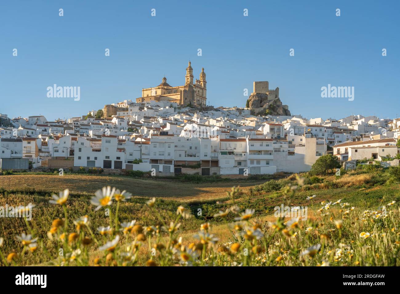 Olvera Skyline bei Sonnenuntergang mit Wildblumen - Olvera, Andalusien, Spanien Stockfoto