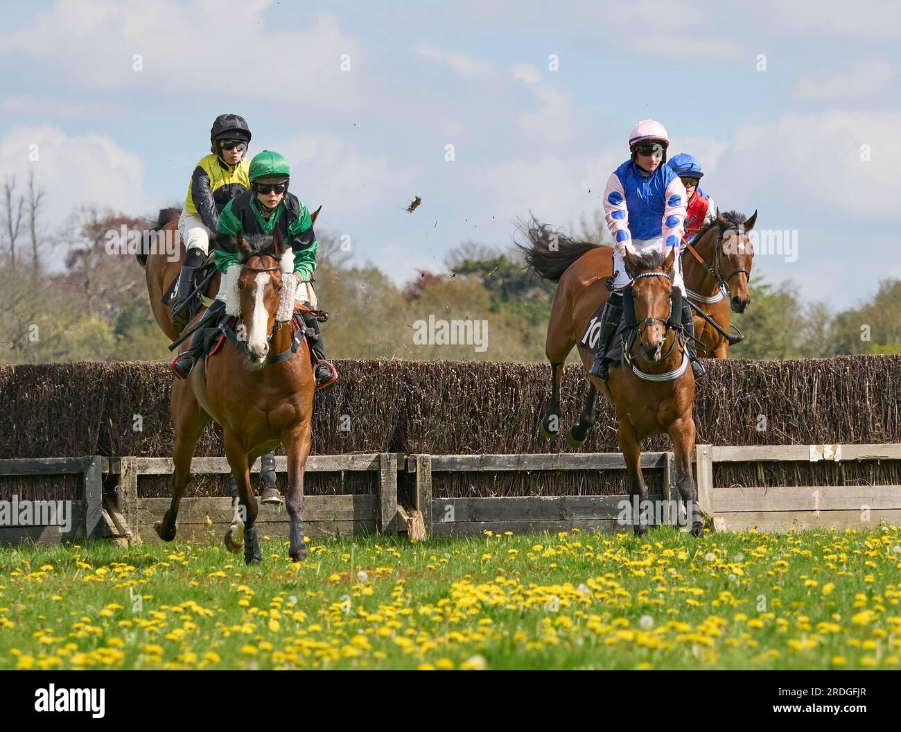 Godstone Point-to-Point-Steeplechase-Pferderennen Surrey Stockfoto