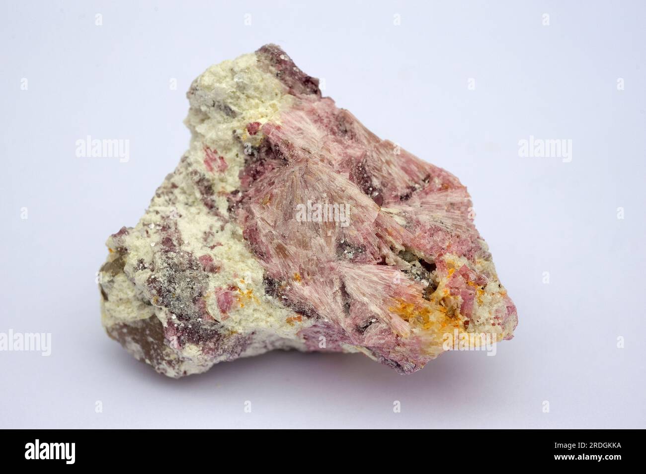 Elbaite und Liddicoatite sind Mineralien der Tourmalin-Gruppe. Elbaite (rosafarbene Kristalle) ist ein Silikat aus Aluminium, Bor, Lithium und Natrium. Liddicoatite Stockfoto