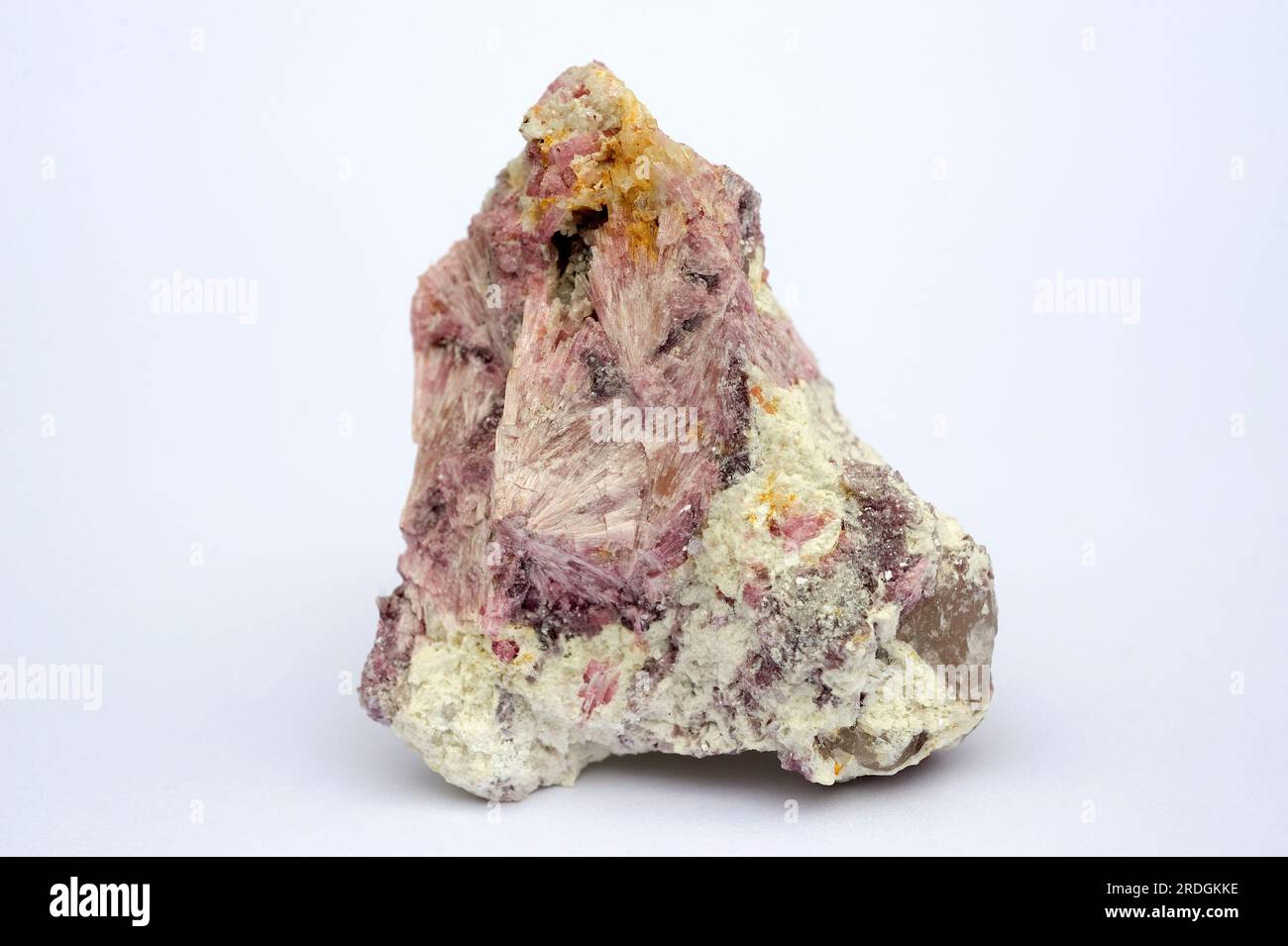 Elbaite und Liddicoatite sind Mineralien der Tourmalin-Gruppe. Elbaite (rosafarbene Kristalle) ist ein Silikat aus Aluminium, Bor, Lithium, Natrium und Liddicoati Stockfoto