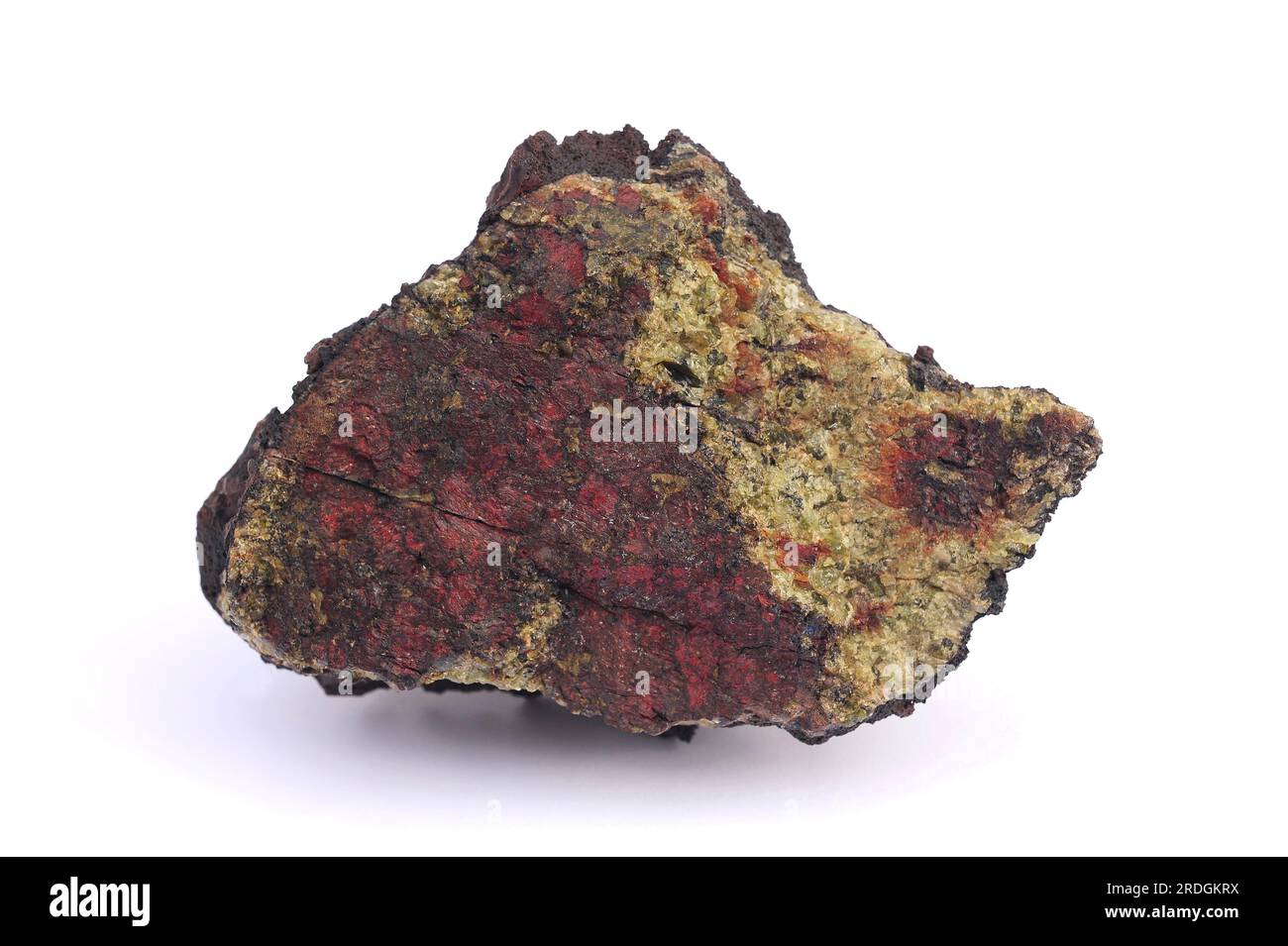 Oliviner Knoten auf Basaltikgestein. Olivin ist ein Mineral, das aus Magnesiumeisensilicat besteht. Diese Probe stammt aus Lanzarote, Kanarische Inseln, Spanien. Stockfoto