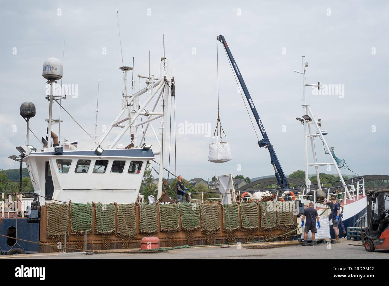 Fischer, die Jakobsmuscheln aus einem Jakobsbagger im Hafen von Kirkcudbright in Schottland entladen. Für das schwere Heben wird ein Kran verwendet. Stockfoto