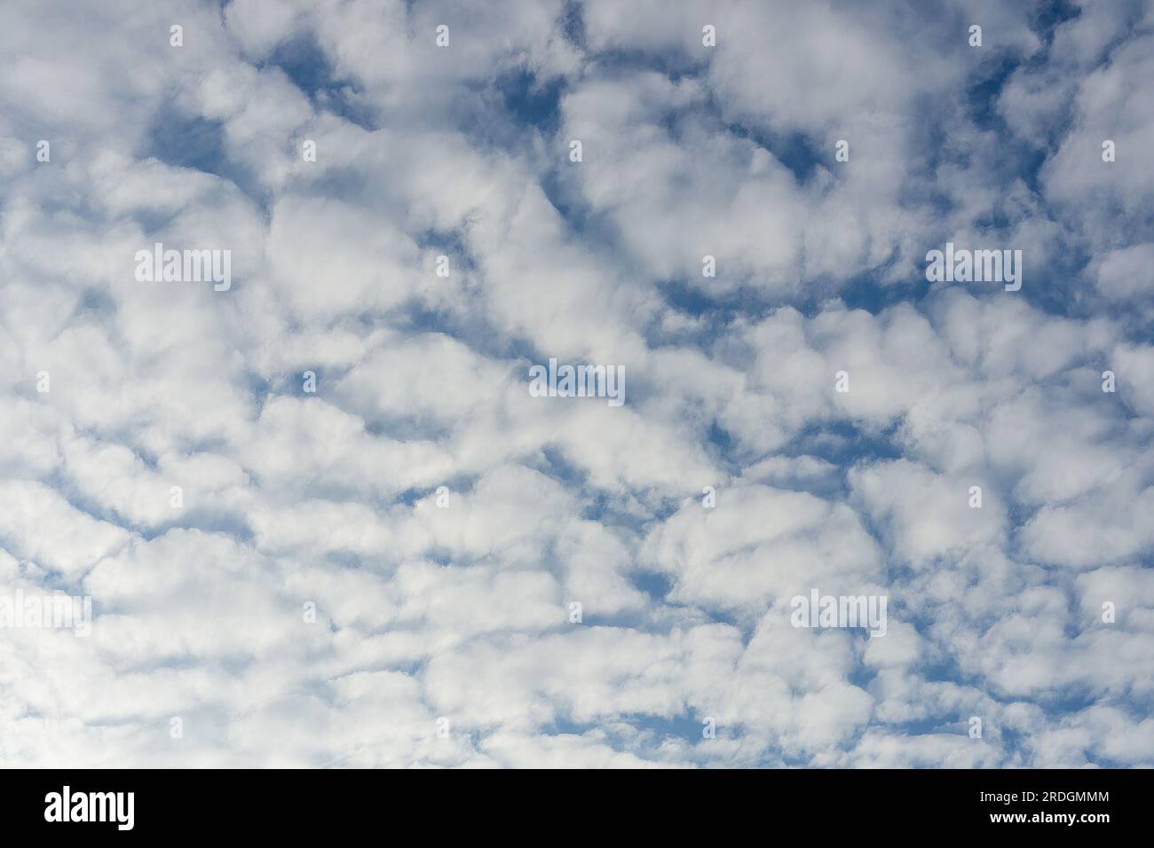 Das Foto zeigt die Schönheit der Natur mit weißen, flauschigen Wolken, die über einen hellblauen Himmel verstreut sind. Die Wolken haben eine abgerundete Form und sind weich Stockfoto