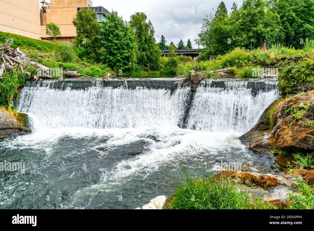 Ein glatter Wasserfall an den Tumwater Falls im Bundesstaat Washington. Stockfoto