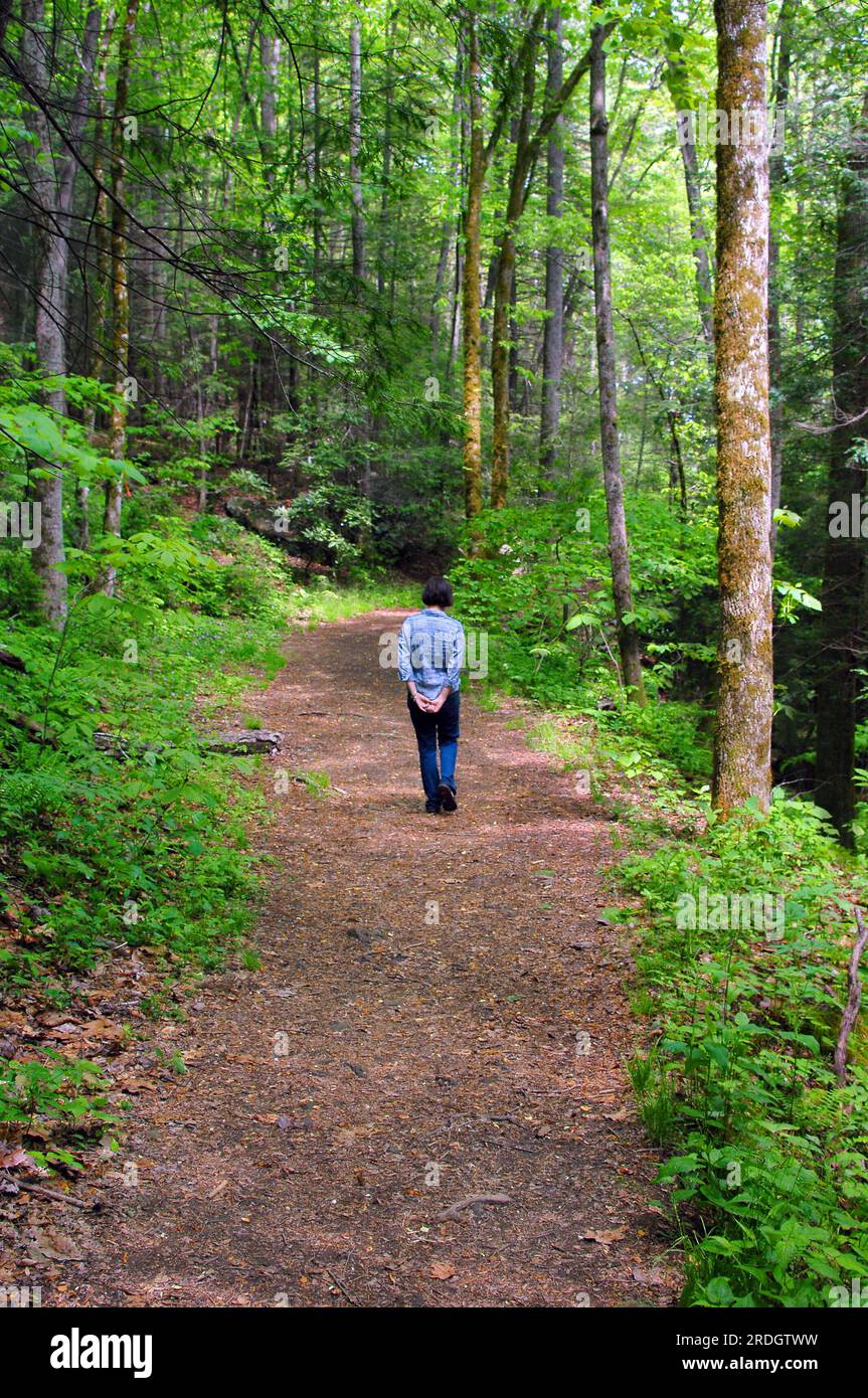 Eine Frau geht auf dem verlassenen Pfad des Catawba Falls Trail in North Carolina spazieren. Wandern Sie in die Bäume, während sie tief in Gedanken hinuntergeht. Stockfoto