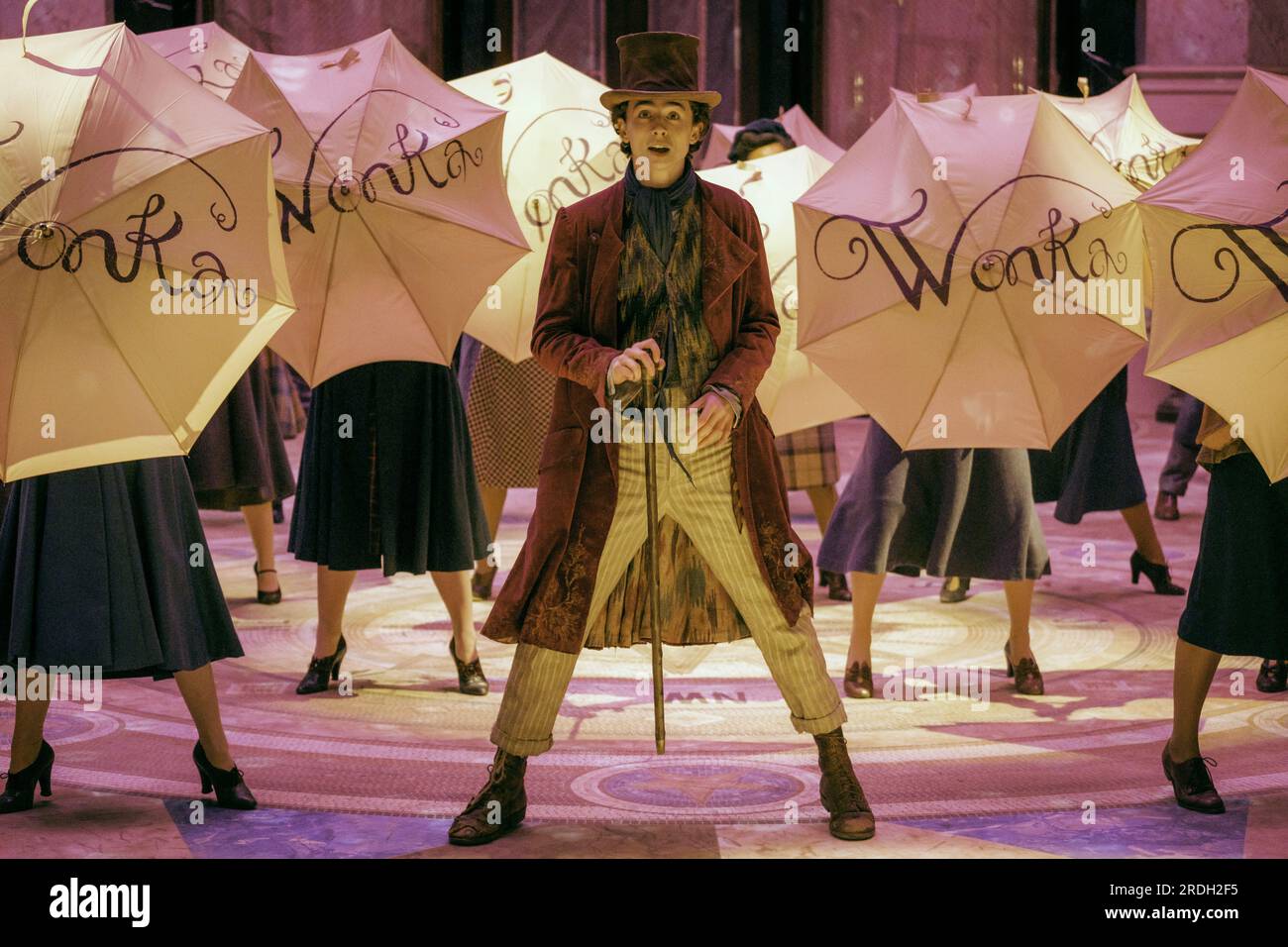 Wonka 2024 Cda Pl Briny Letizia