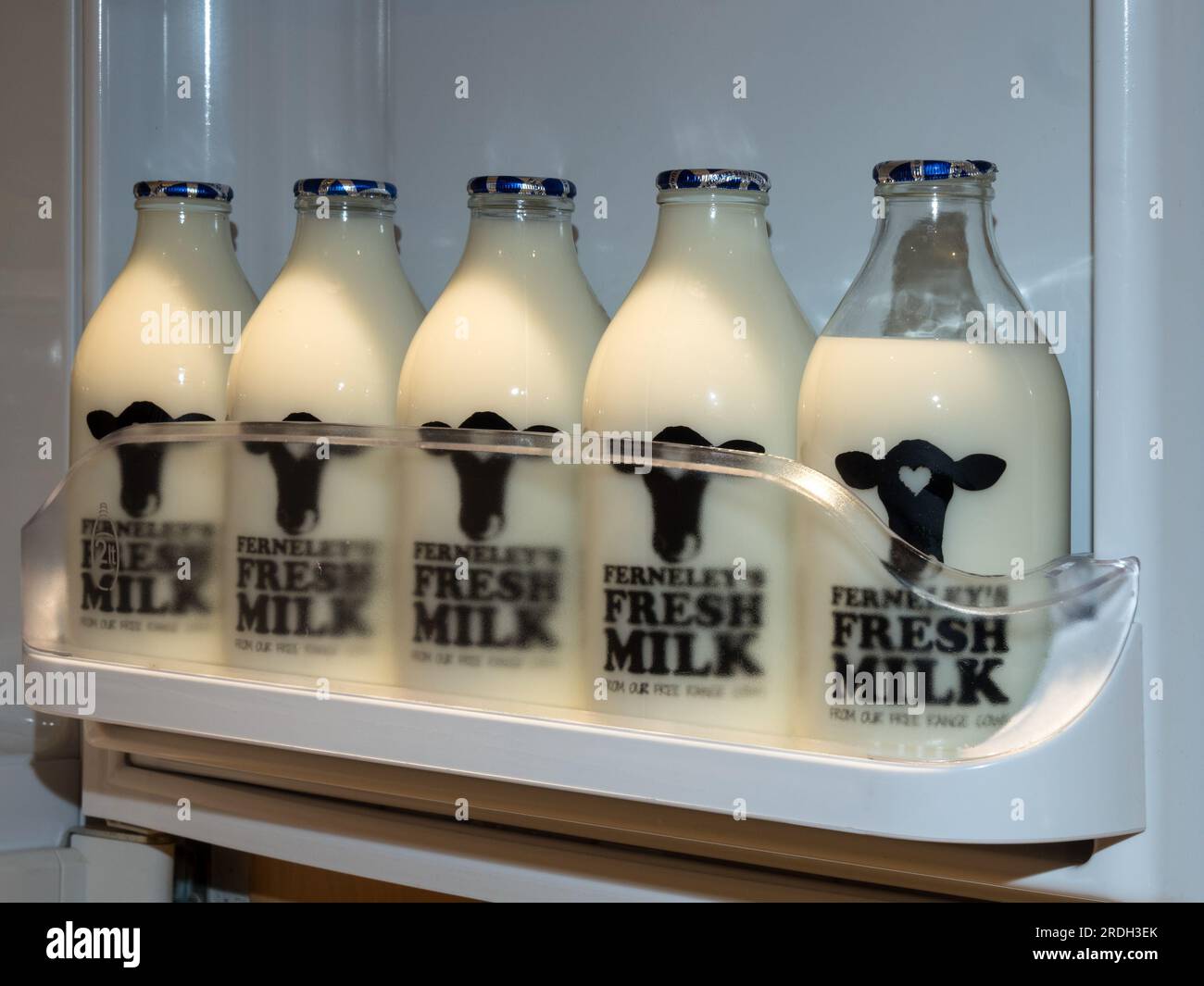 Reihe von 1 Pint Glas-Milchflaschen mit Markenlogo und Folienoberflächen voller frischer Milch in offener Hauskühlschranktür von der örtlichen Milchfarm in Leicestershire, Großbritannien Stockfoto