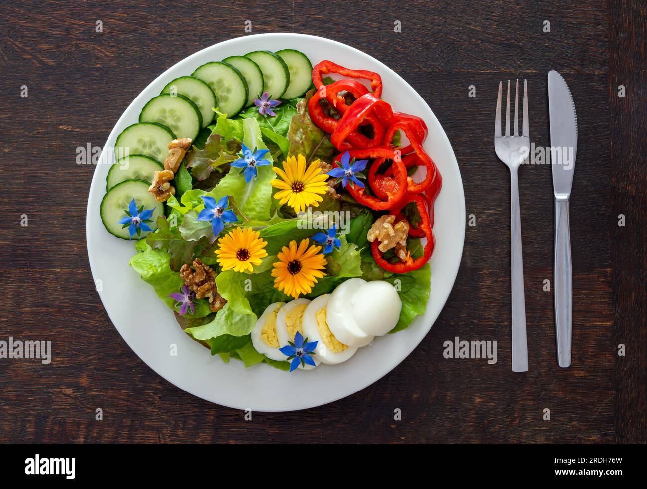 Gesunder Salat mit Salat, Walnüssen, geschnittenem Ei, Paprika, Gurke und wilden essbaren Blüten, Calendula und Borretsch, isoliert auf dem Teller Stockfoto