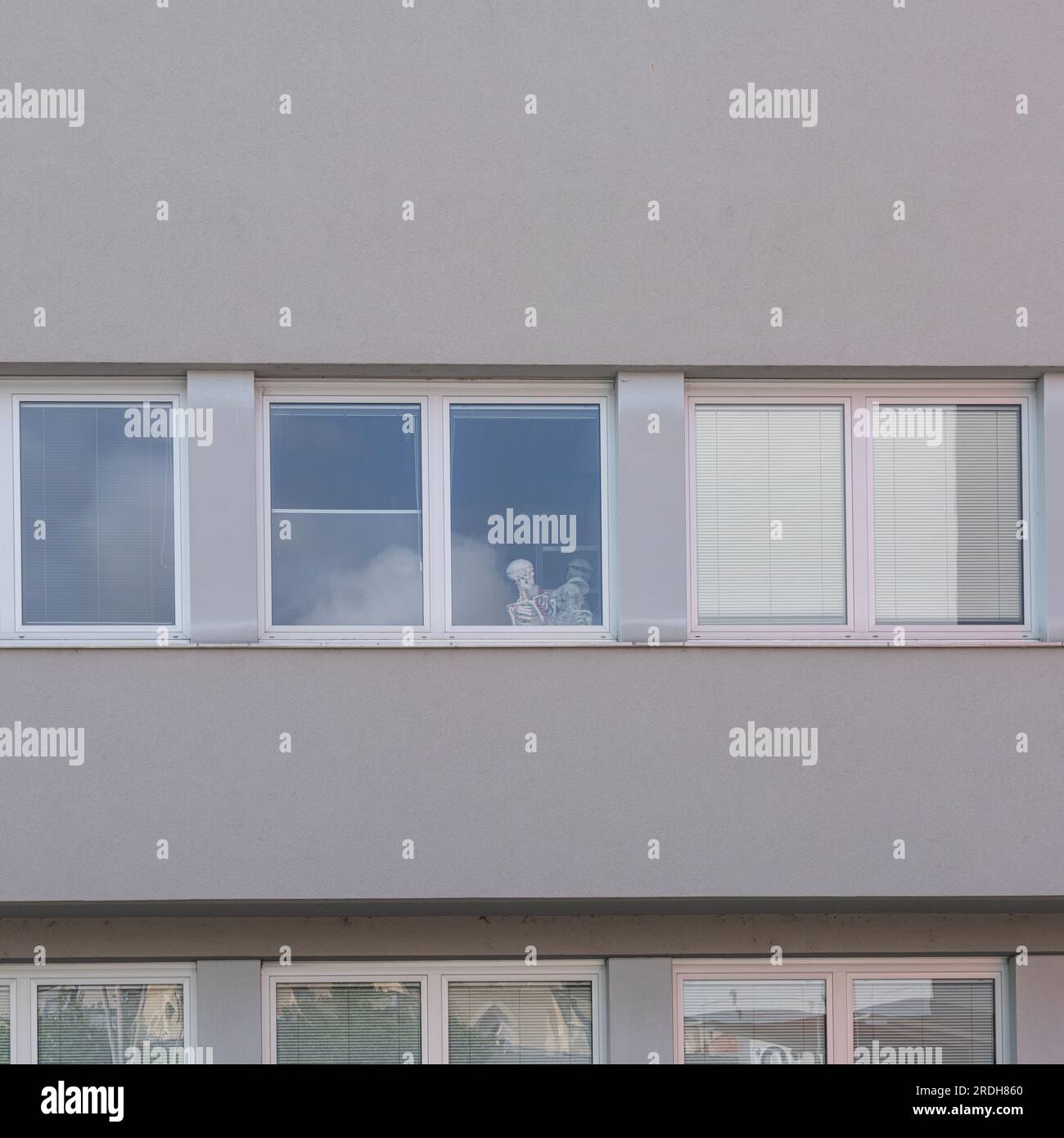 Ein Skelett am Fenster eines Gebäudes Stockfoto