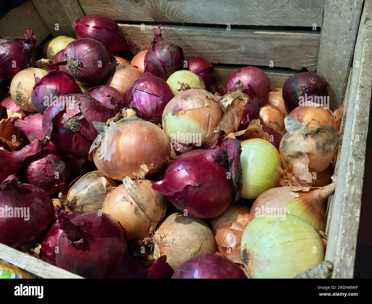 Holzkiste mit Bio-Zwiebeln aus Mischfuttermitteln zum Verkauf auf dem Bauernmarkt im Winter. Stockfoto
