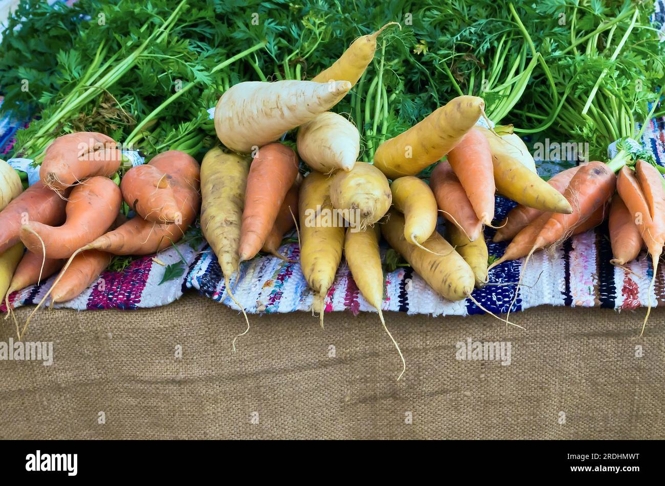 Wurzelgemüse zum Verkauf auf dem Bauernmarkt. Stockfoto