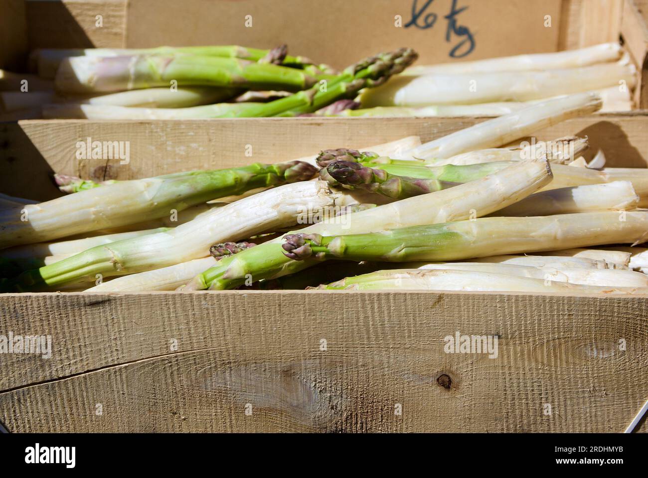 Holzkisten mit frischen, weißen Spargeltüchern zum Verkauf auf dem Bauernmarkt im Frühsommer. Stockfoto