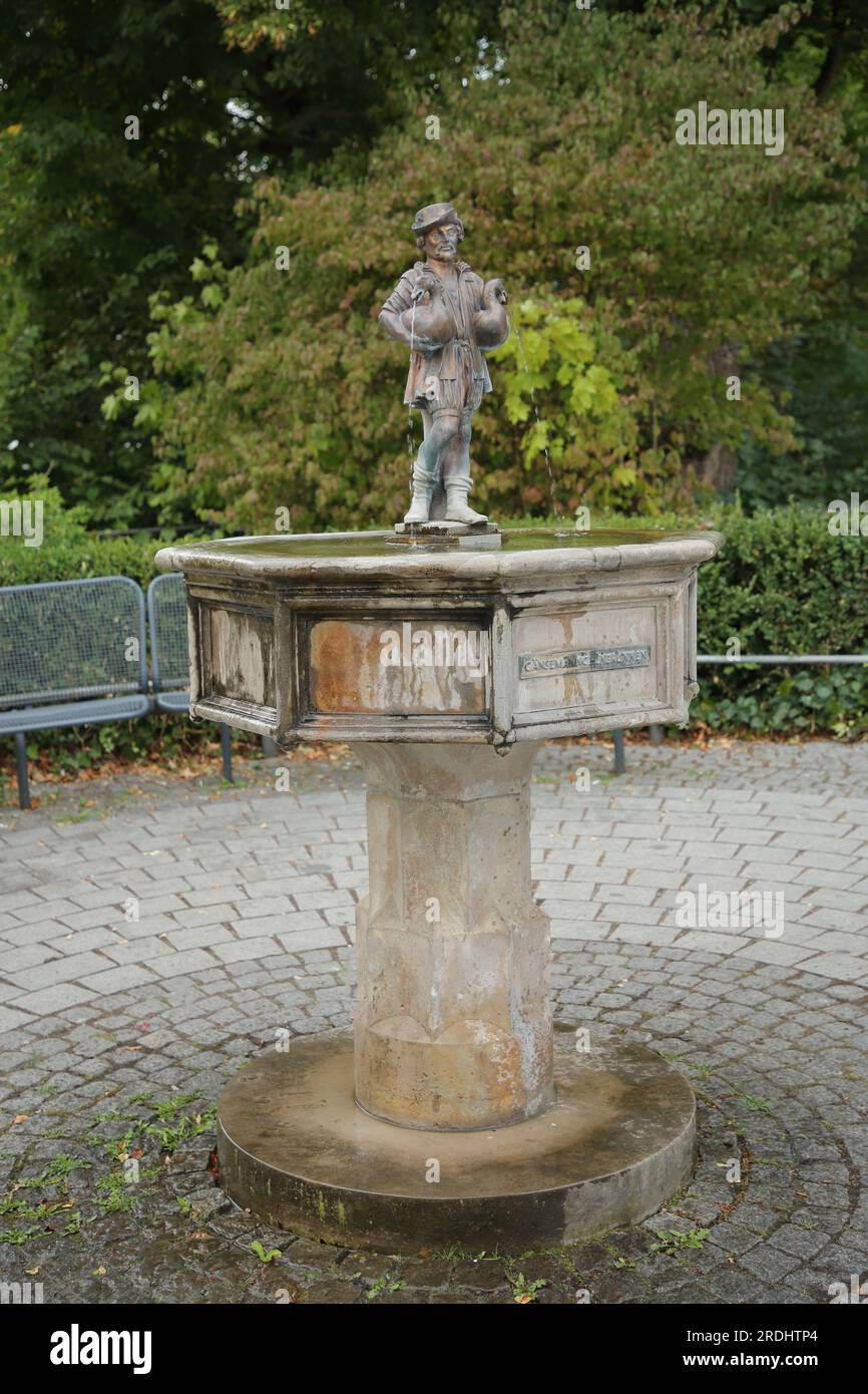Gänsespringbrunnen, Meiningen, Thüringen, Deutschland Stockfoto