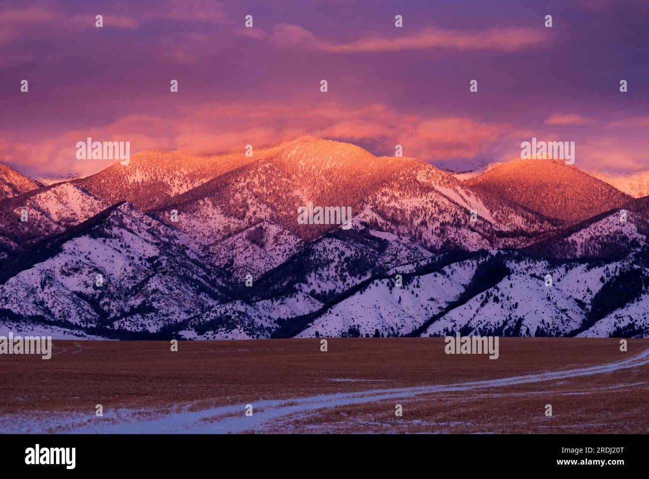 Winterfelder, Bridger Mountain Range und Wolken bei Sonnenuntergang, Gallatin County, Montana, USA Stockfoto