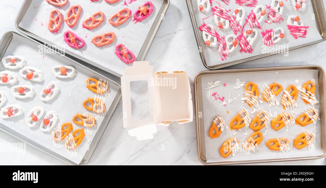 Pretzel Twist Mit Schokoladenüberzogene Gourmet-Spezialitäten Stockfoto