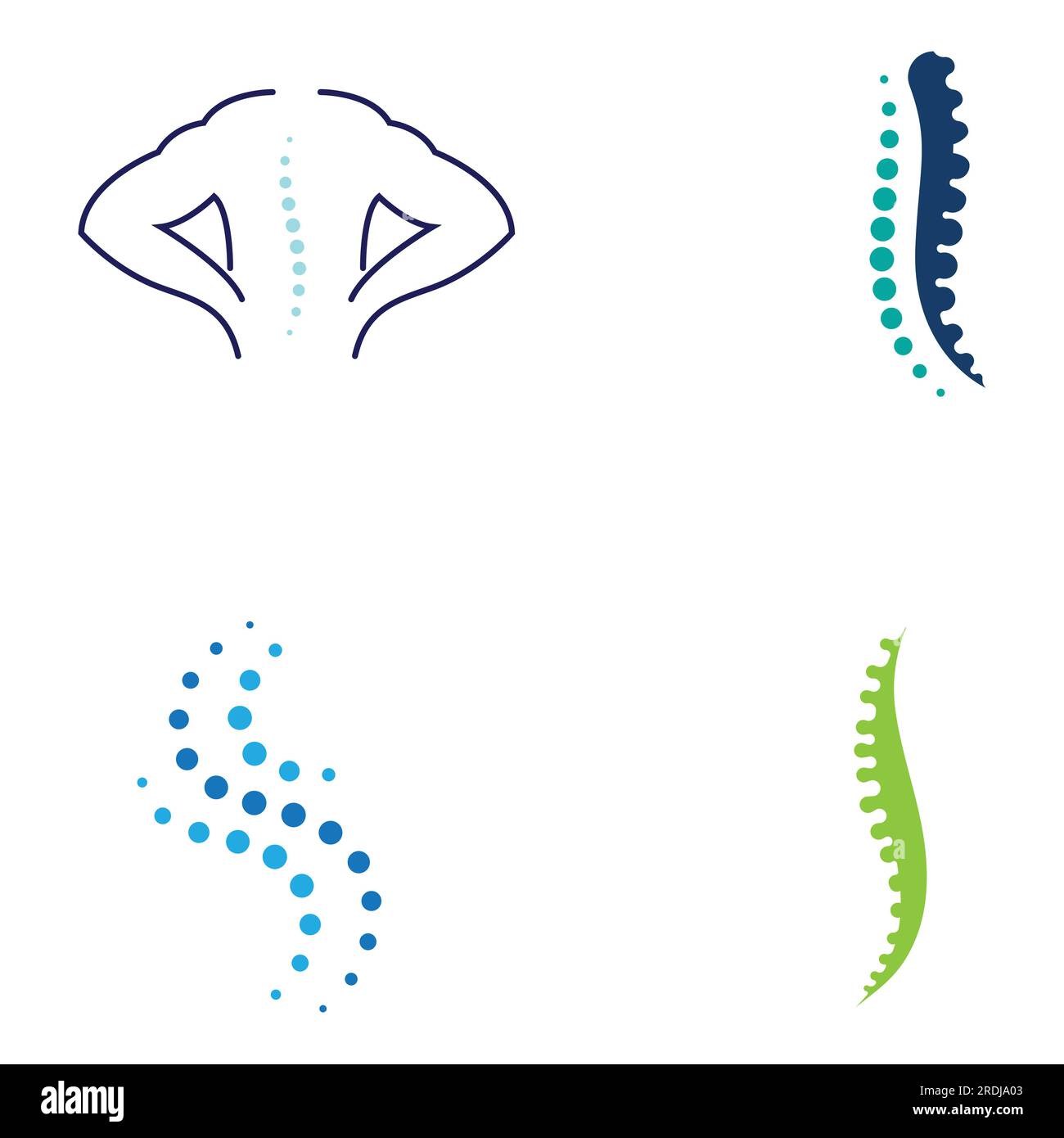 Wirbelsäulendiagnostik, Wirbelsäulenversorgung und Wirbelsäulengesundheit. Mit modernem Vektorsymbol-Designkonzept Stock Vektor