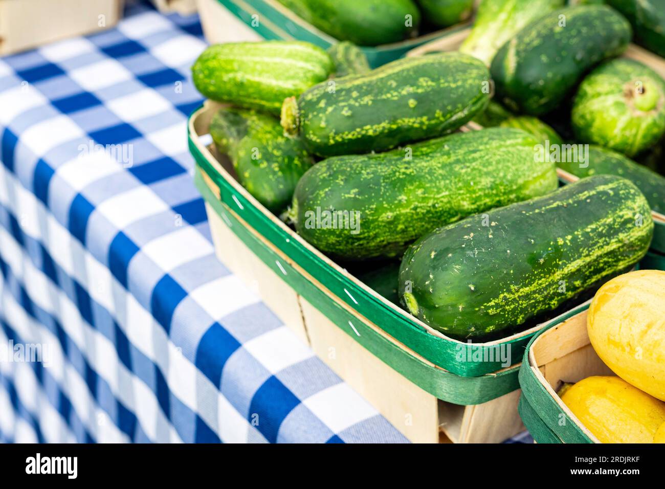 Kleine Gurken in einem Korb auf einem Tisch mit blau karierter Tischdecke auf einem Bauernmarkt. Stockfoto