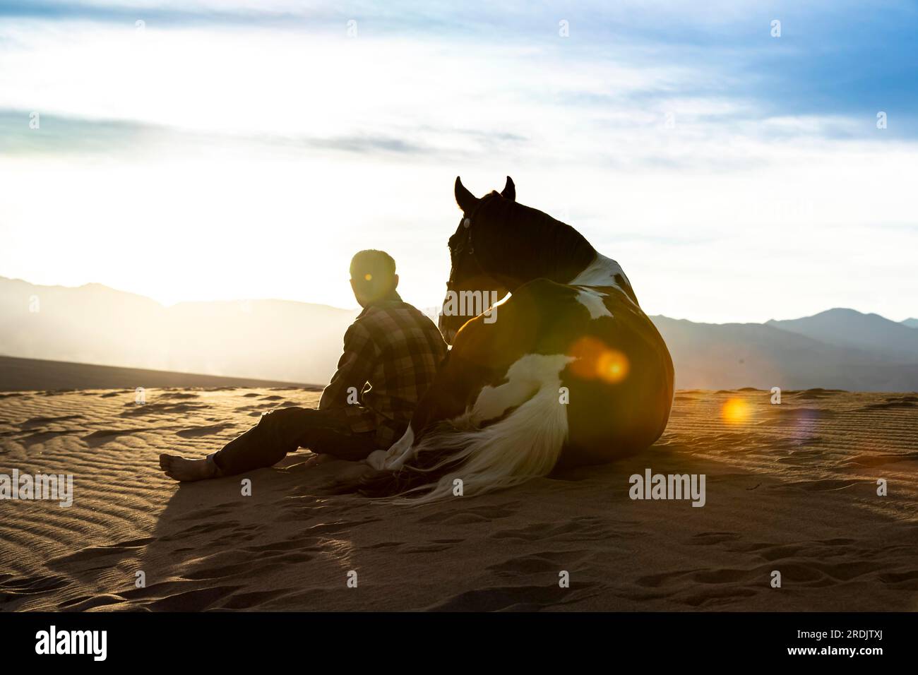 Ein männliches Model, das auf seinem Pferd durch die Mohave-Wüste reitet Stockfoto