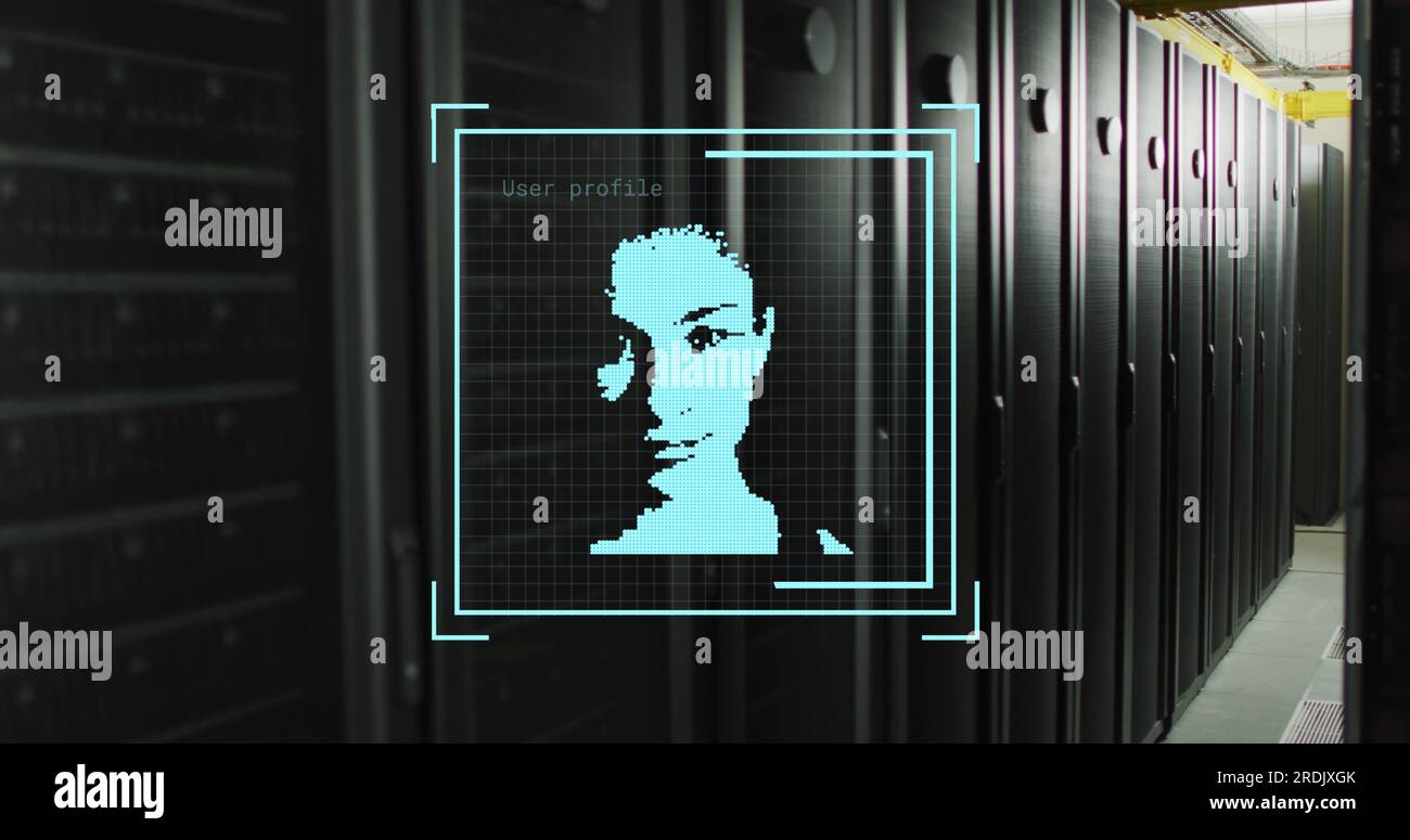 Composite aus biometrischer Foto- und Datenverarbeitung über Computerserver Stockfoto