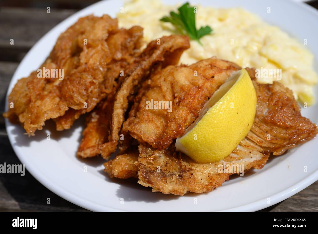 Backfisch Fish Deep Fried Fish in Teig mit Hamburger Kartoffelsalat Nahaufnahme Stockfoto