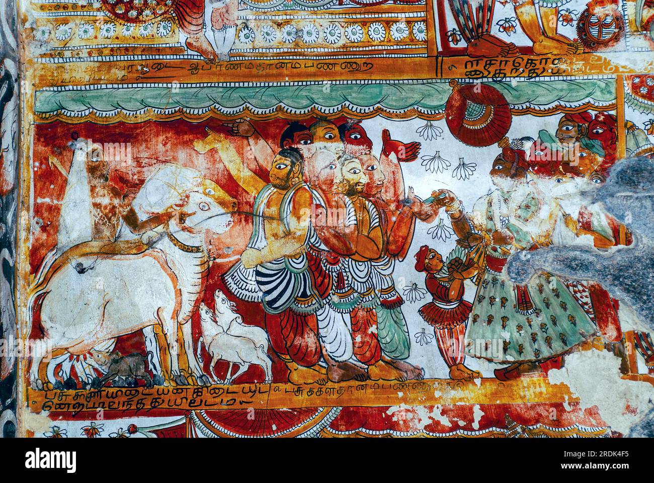 16. Century Nayak Wandbilder Fresco Gemälde in Thillai Nataraja Tempeldecke, Chidambaram, Tamil Nadu, Südindien, Indien, Asien. Kuh Stockfoto