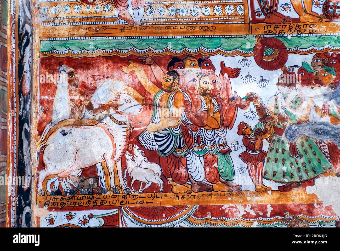 16. Century Nayak Wandbilder Fresco Gemälde in Thillai Nataraja Tempeldecke, Chidambaram, Tamil Nadu, Südindien, Indien, Asien. Kuh Stockfoto
