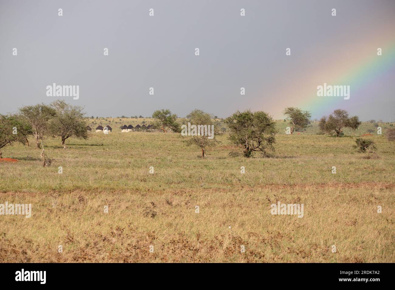 Regenzeit in Kenias Savanne. Wunderschöne Landschaft in Afrika zur Regenzeit, Sonne, Regen, Regenbogen. Safari-Fotografie in unglaublicher Entfernung Stockfoto