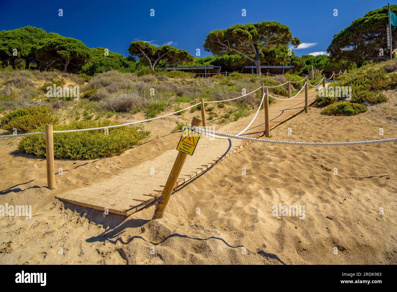 Dünen mit mediterraner Vegetation in Platja Llarga (langer Strand) in Salou, an der Costa Daurada (Tarragona, Katalonien, Spanien) Stockfoto