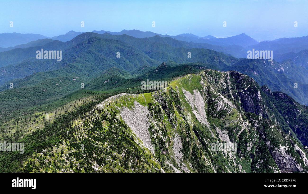 XI'an. 21. Juli 2023. Dieses Luftfoto wurde am 21. Juli 2023 aufgenommen und zeigt die Landschaft im Zhuque National Forest Park in Xi'an, Nordwestchina der Provinz Shaanxi. Der Park, der sich im oberen Bereich des Flusses Ost-Laohe und im Norden des Qinling-Gebirges befindet, erstreckt sich über eine Fläche von 2.621 Hektar, und der höchste Punkt des Bingjing-Gipfels hat eine Höhe von 3.015 Metern. Atemberaubende Landschaften wie unberührte Wälder, Gletscherreste und Wolkensee können Sie entlang der Straße zum Gipfel sehen. Kredit: Liu Xiao/Xinhua/Alamy Live News Stockfoto