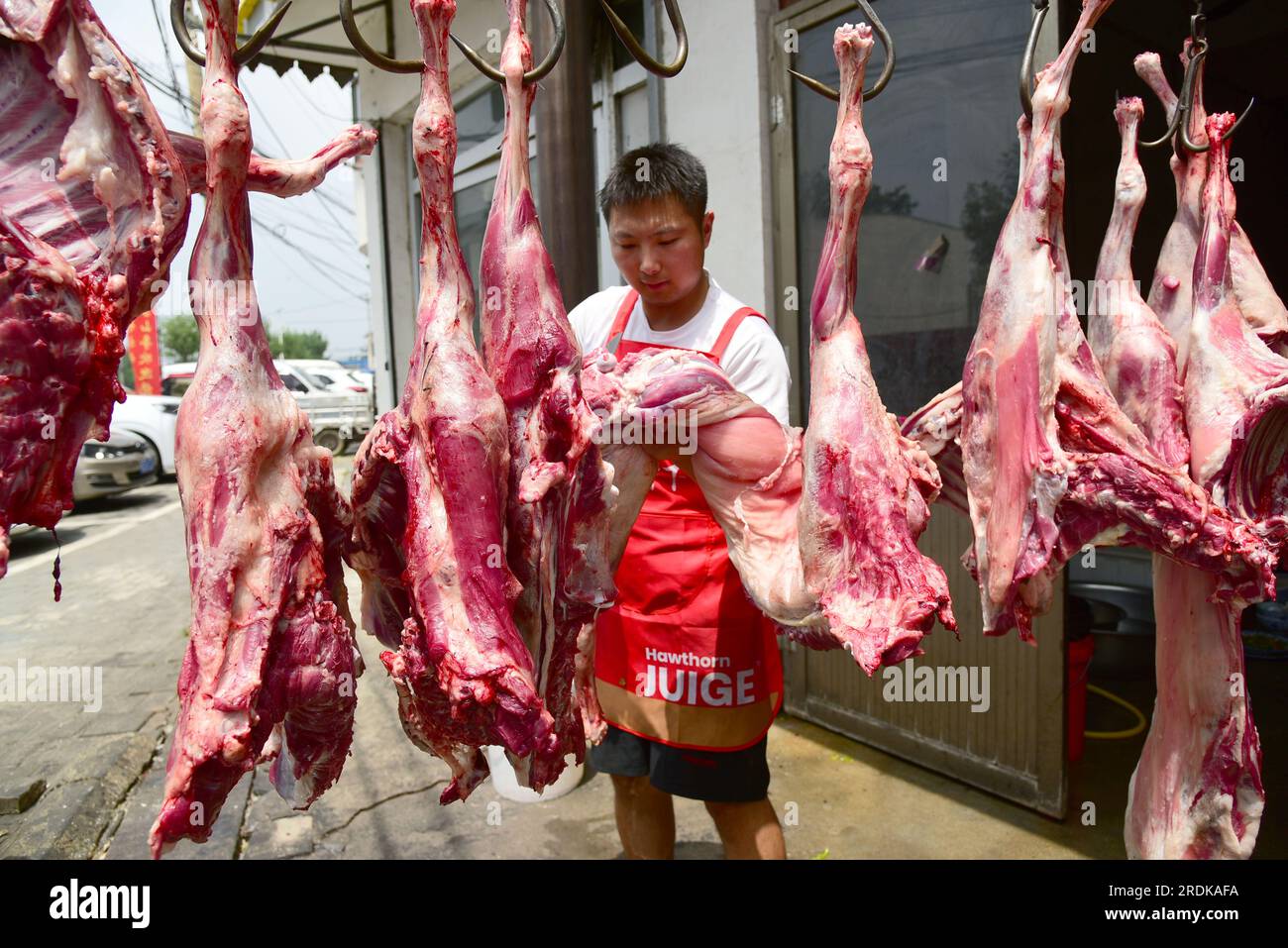 ZAOZHUANG, CHINA - 22. JULI 2023 - Ein Händler Arrangiert rohes Hammel in einem Hammelsuppenrestaurant in Xiji, Bezirk Shanting, Zaozhuang, East CH Stockfoto