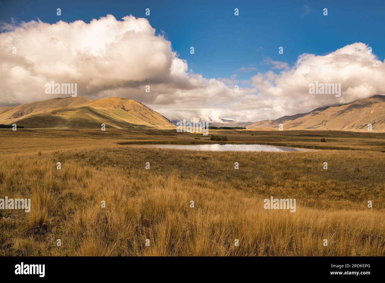 Ashburton Seen Landschaften im Hakatere Conservation Park in abgelegenem ländlichem Hochland Stockfoto