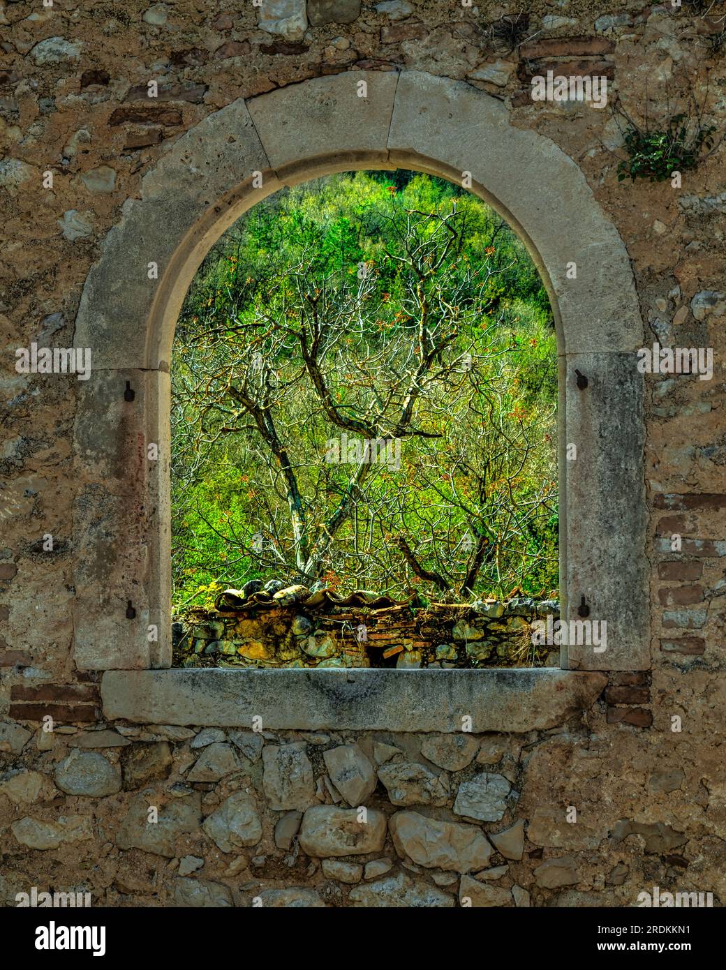 contrada san Alberto, Überreste eines alten Gebäudes mit offenem Fenster zur umliegenden Natur Stockfoto