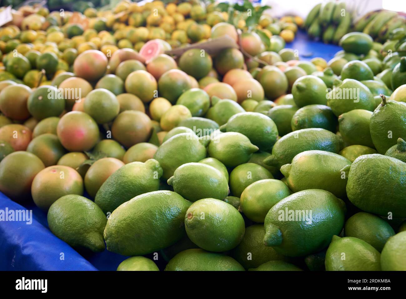 Limetten und andere Zitrusfrüchte werden auf dem Bauernmarkt ausgestellt Stockfoto