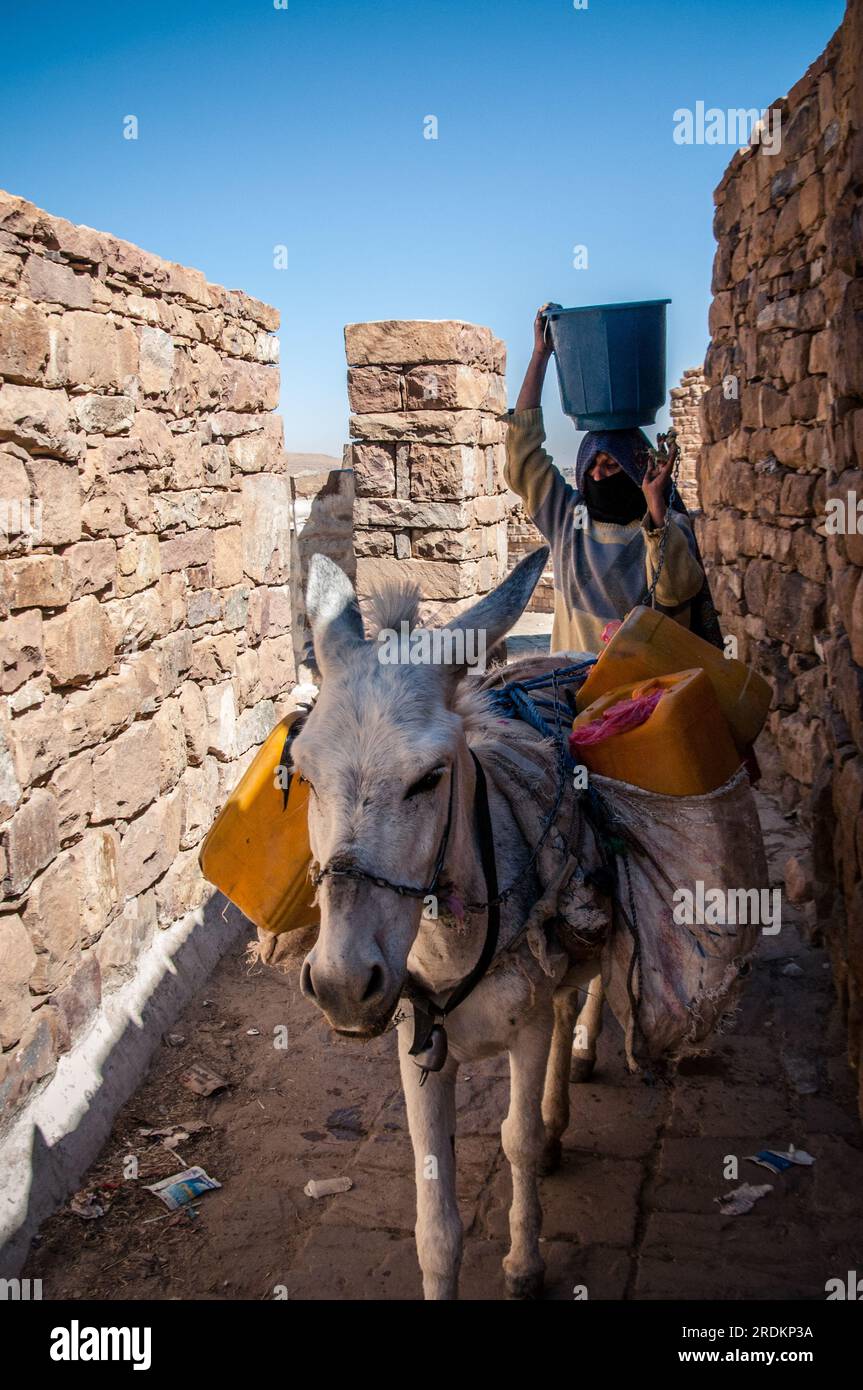 Jemenitische Frauen tragen traditionelle Kleidung, tragen Wasser auf dem Kopf, mit einem Esel in den Straßen von Shebam, Sanaa, Jemen Stockfoto