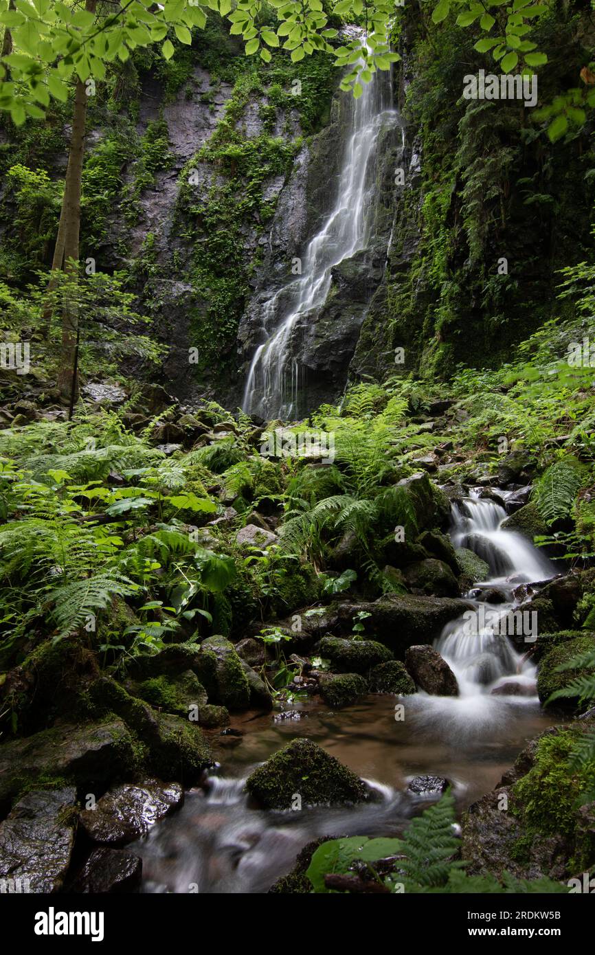 Der Burgbach-Wasserfall im Nadelwald fällt über Granitfelsen in das Tal in der Nähe von Bad Rippoldsau-Schapbach, eine Landschaft aus der Natur, Blac Stockfoto
