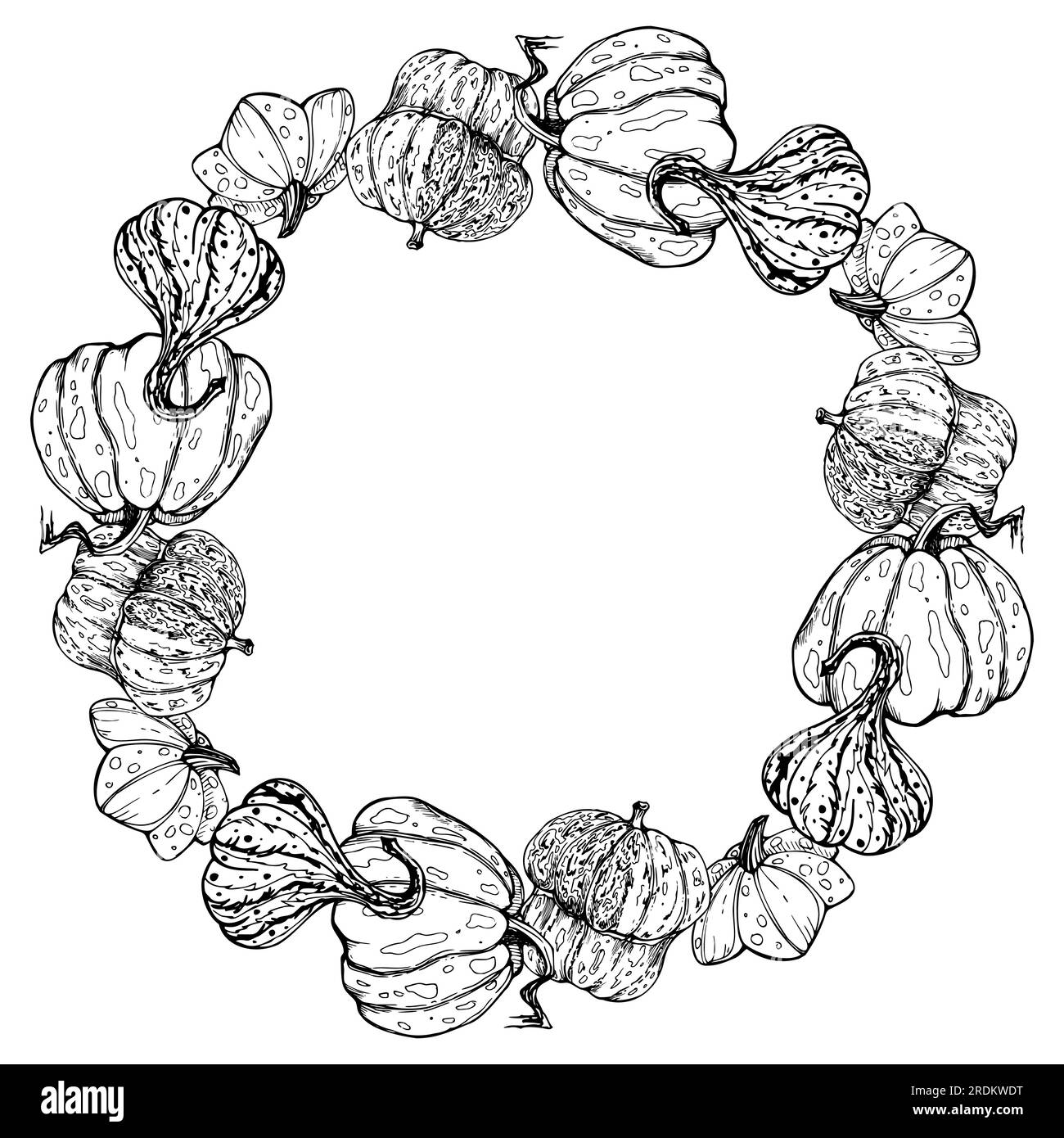 Handgezeichneter Tintenvektor Kürbis-Kürbis-Kürbis-Kürbis. Zeichnungskunst für Thanksgiving, Halloween, Ernte, Landwirtschaft. Kranzrahmen, Kontur. Design für Stock Vektor