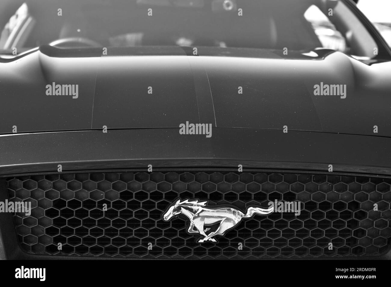 Nahansicht des einfarbigen Logos von Ford Mustang auf der Motorhaube. Ford Mustang ist eine Serie amerikanischer Automobile, die von Ford hergestellt werden. Stockfoto