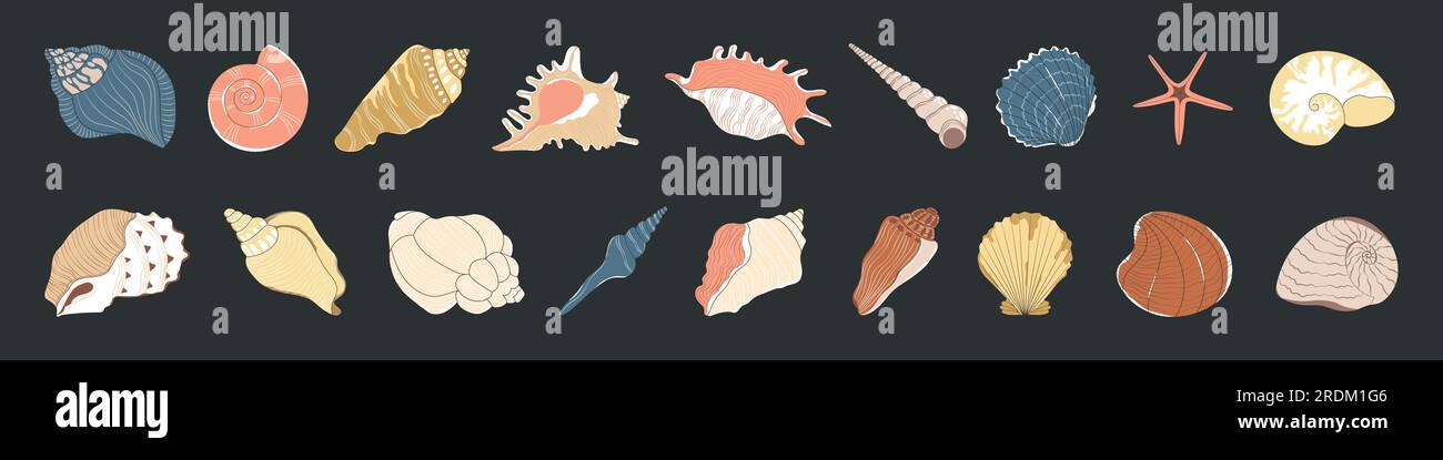 Tropische Muschel. Cartoon-Muschel, Auster Stock Vektor