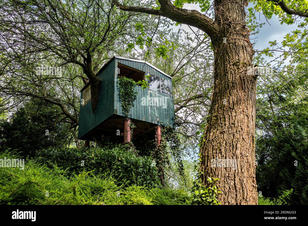 Baumhaus im Wald Stockfoto