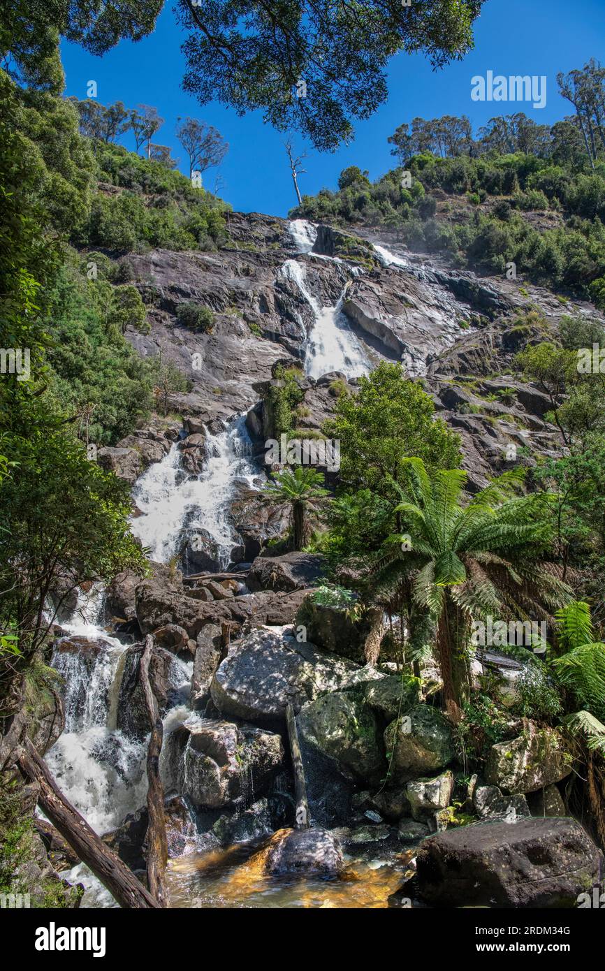 St Columba Falls Ostküste Tasmanien Australien Stockfoto