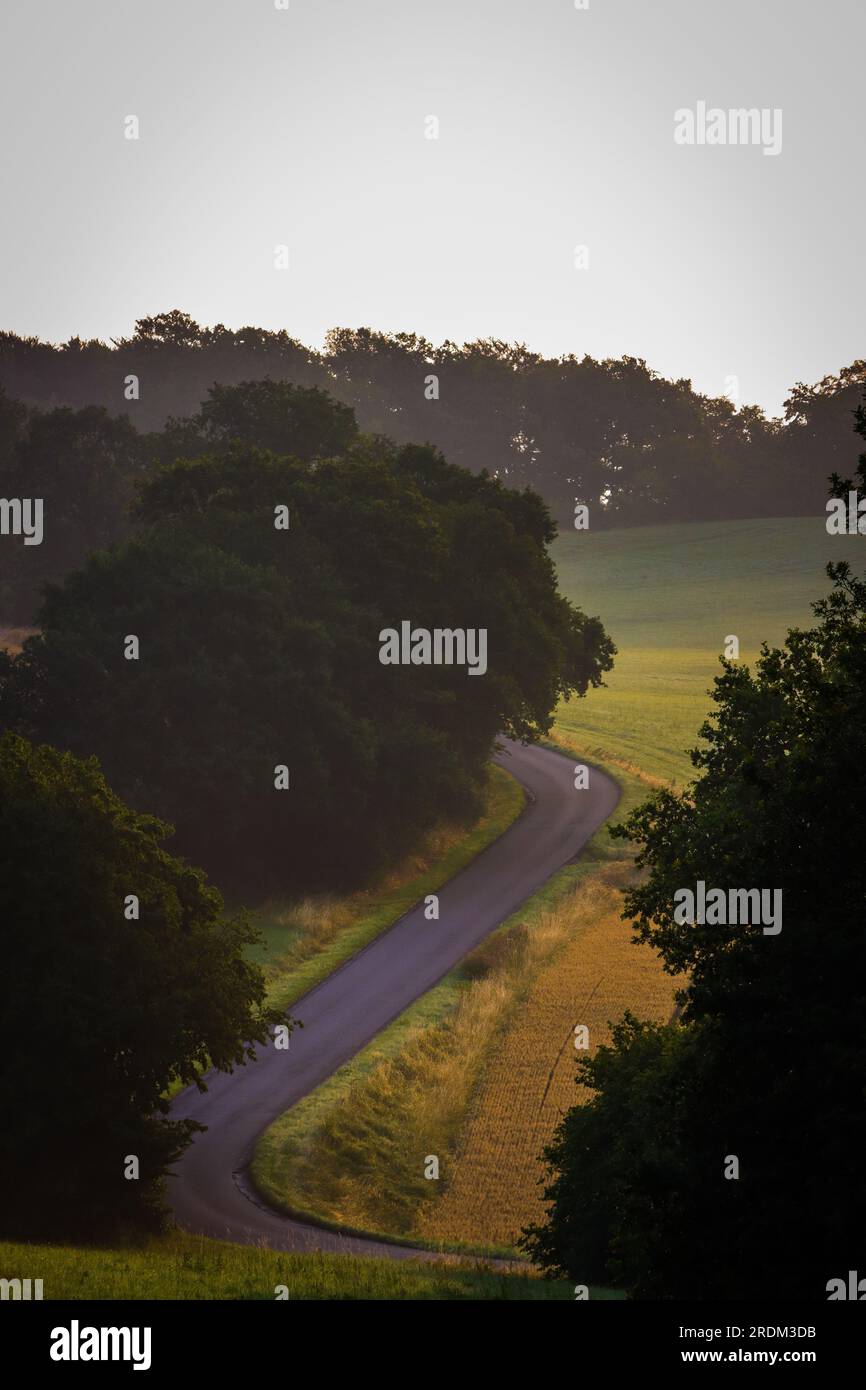 Einsame Straße, kurvige Straße in natürlicher Landschaft Stockfoto